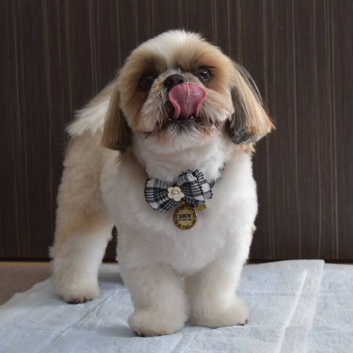 0da8d05e 9f62 4af3 9de1 0c6d22ae2f3e