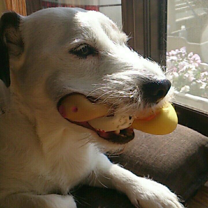 0da8f2fe cb14 4b01 a8e0 93fff5b7517a