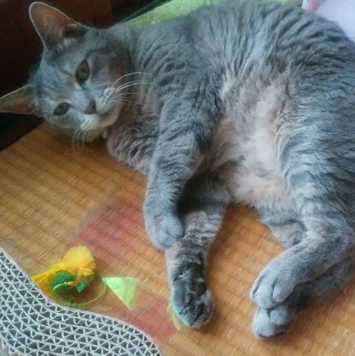 0da8f6c7 dbcd 4c10 8eb5 afda4f4d6ce2