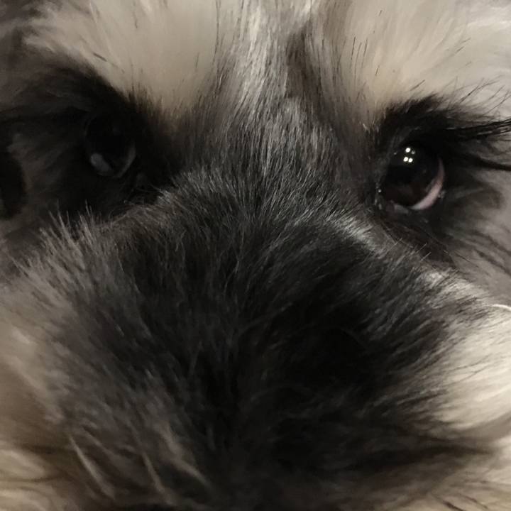 0da91ab1 1912 4d4b 8f29 22592dbded4f