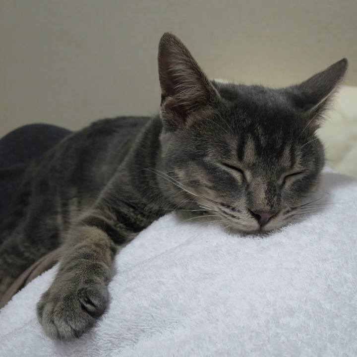 0da91cd9 cbe6 49d4 aabd 0d20c18adf5d