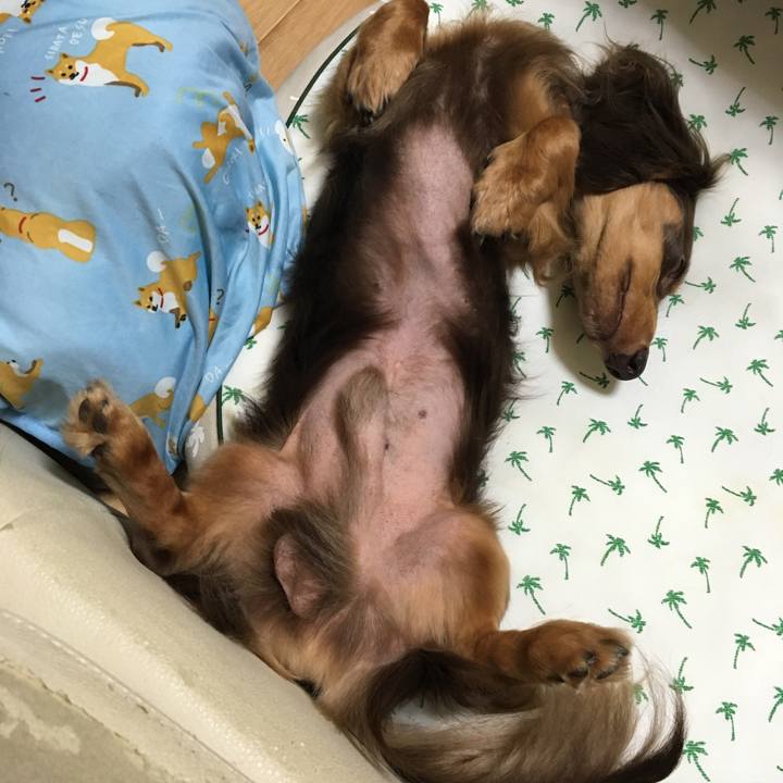 0da934a0 48e8 48cf 8f1a 55406a5c2ff9