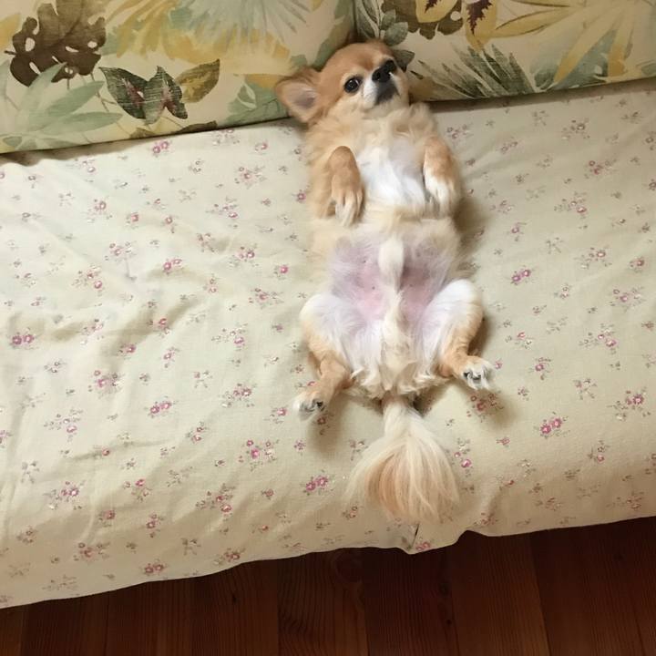 0da93fd9 8043 44c1 8f42 3c368ed7188b