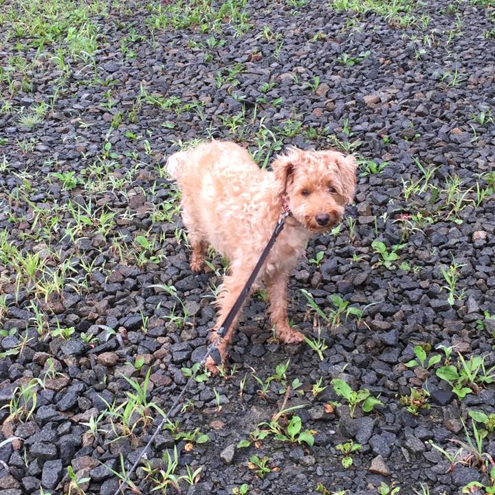 0da94835 313e 401d 9a44 5e296f033318