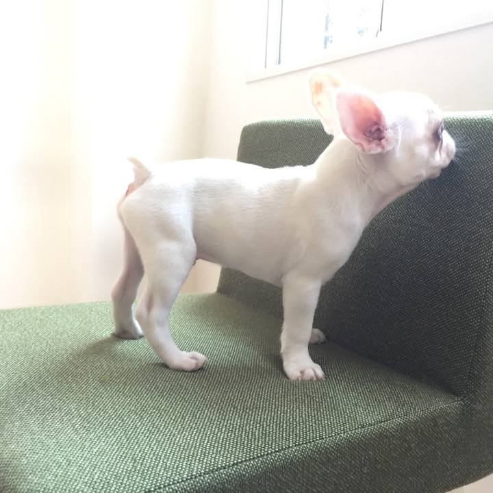 0da952e7 2c2b 476e 8b10 2bdda8fff9b5