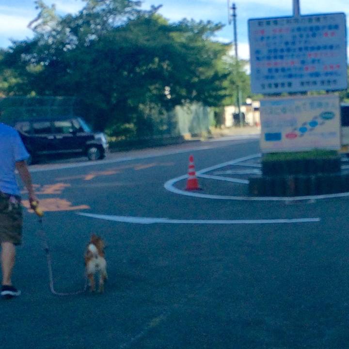 0da9b460 c730 470b acc6 5372a775eb5b