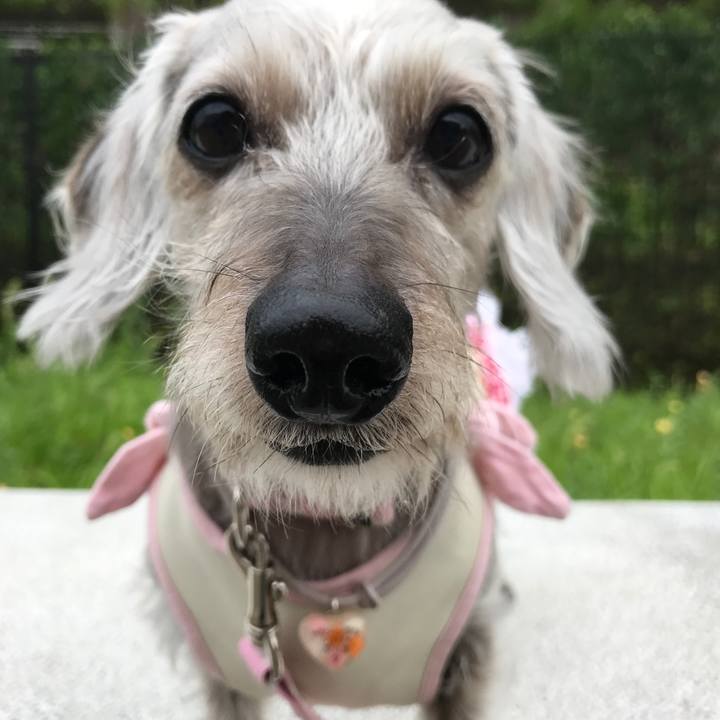 0da9d606 7394 4620 9888 8b8d0b7b35a1