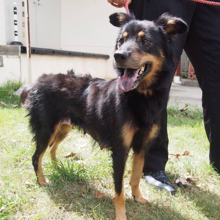 0da9f8d0 3ebd 4a15 9713 f5efda42bd11