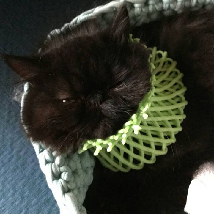 0daa76aa 2ff7 470b a2ee afc20992433b