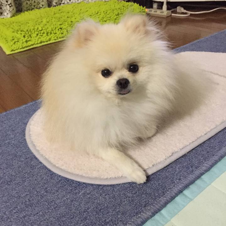 0dabceae 34fd 4840 908d 51e95703adde