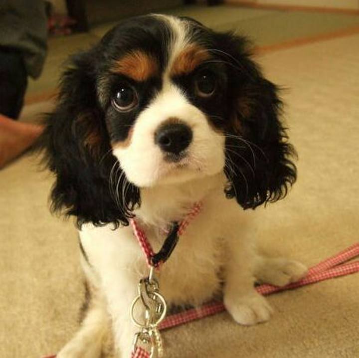 0dac06ca bdd8 45d1 b76d e92f9e71051d