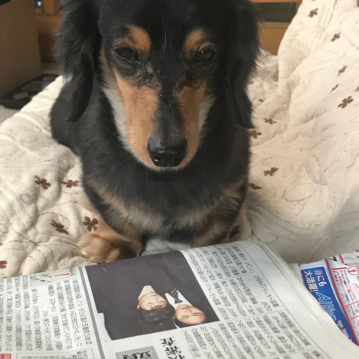 0dac6f37 79b9 43a7 a75f 8a7f0de7cdbe