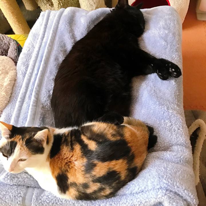 0dac9199 01a3 4261 ad91 62d90970cf85