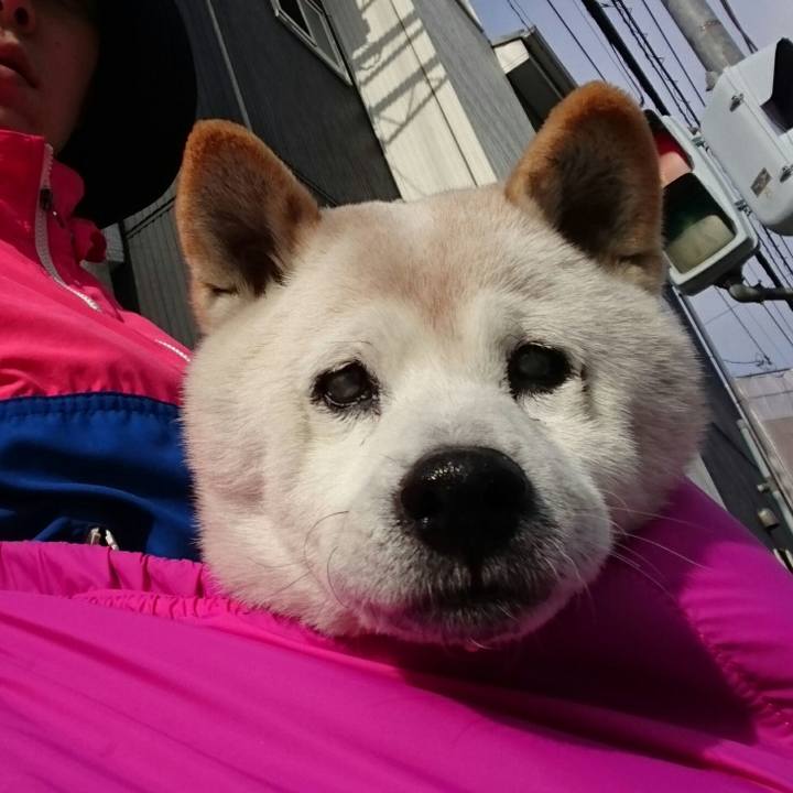 0dacf374 85ae 41b7 900a b824b8fd14a3