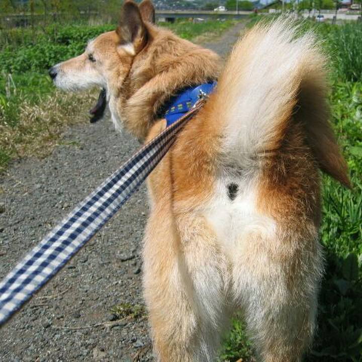 0dad0f50 7692 4035 ae5d 075a7d95694d