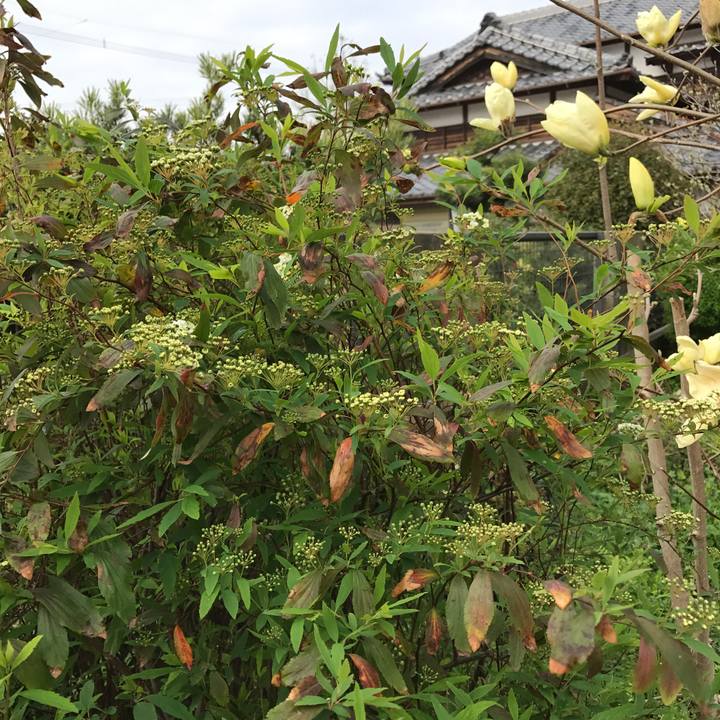 0dad8006 21d0 44d8 8428 25fab15bb549