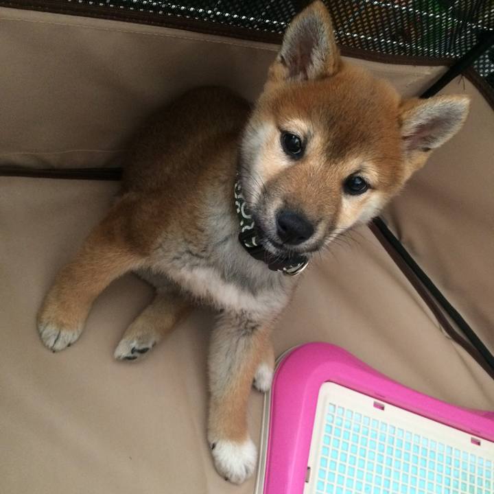 0daddbcf 94e8 486d ae7d f8d08a2eda39