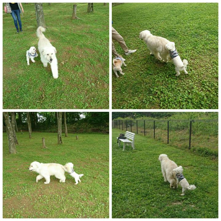 0dadedb6 d40f 4e28 94a5 a49a3126499a