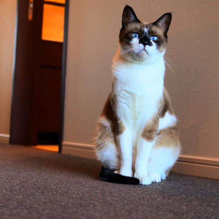 0dae3c50 e0aa 4189 8fa1 710b55c20d95