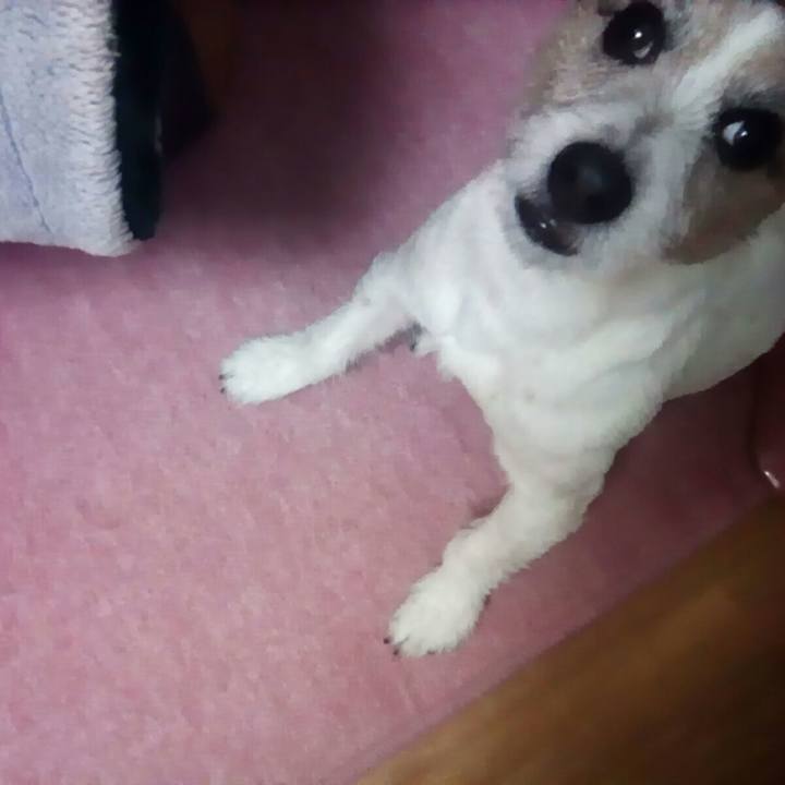 0dae8e7f 4a7b 4abc 83e5 def9998884aa