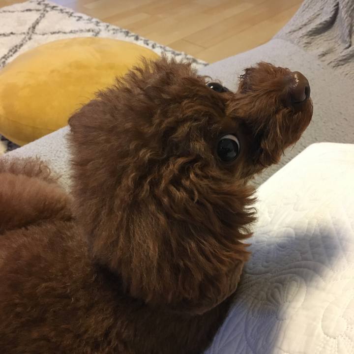 0daea4b4 36ff 4cea bd1f 5d06209f2c30