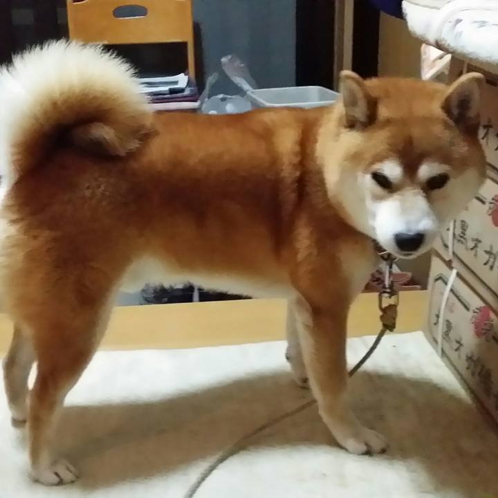 0daf56a2 5bd5 4663 9f05 a3272c8dddd3