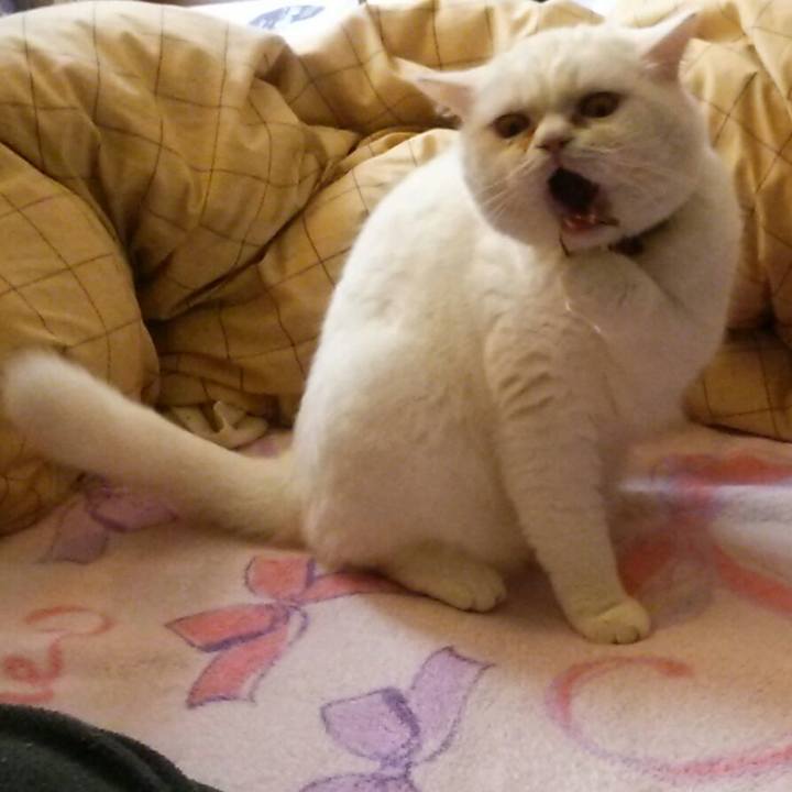 0db09c01 87df 4489 8d5e 5ad3561bca5c