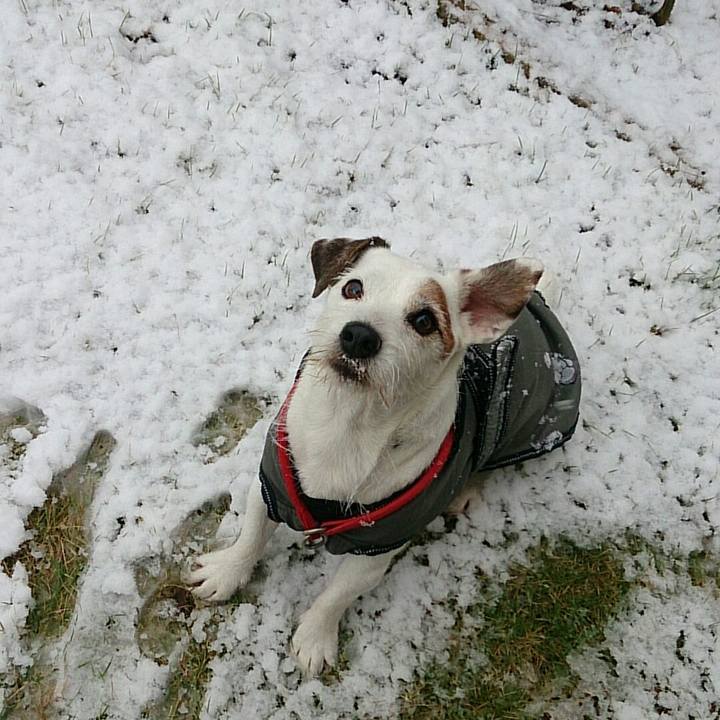 0db0eb0d 0323 424c 9729 12ac38703785