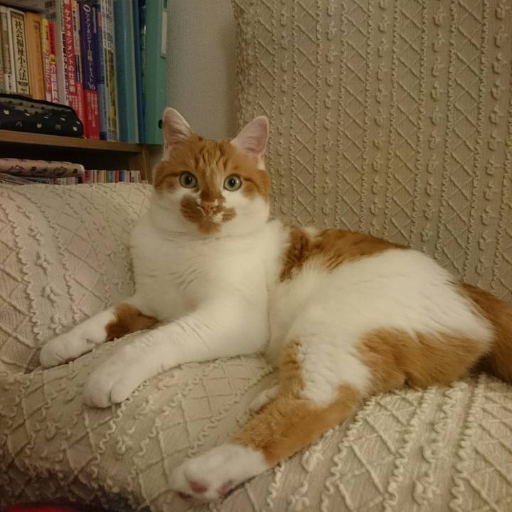 0db1797b 4095 44eb a487 3140f65a4581