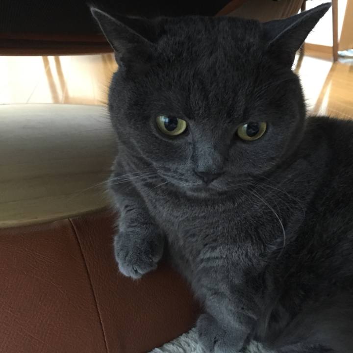 0db1e435 ccc7 485c a8e2 2f9593523769