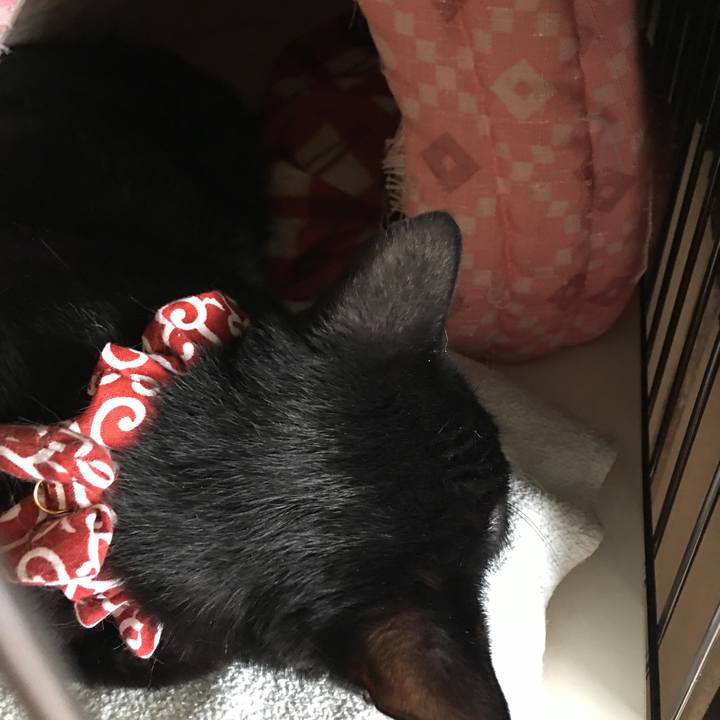 0db22831 367c 4ca7 8fba 6e80c356e169