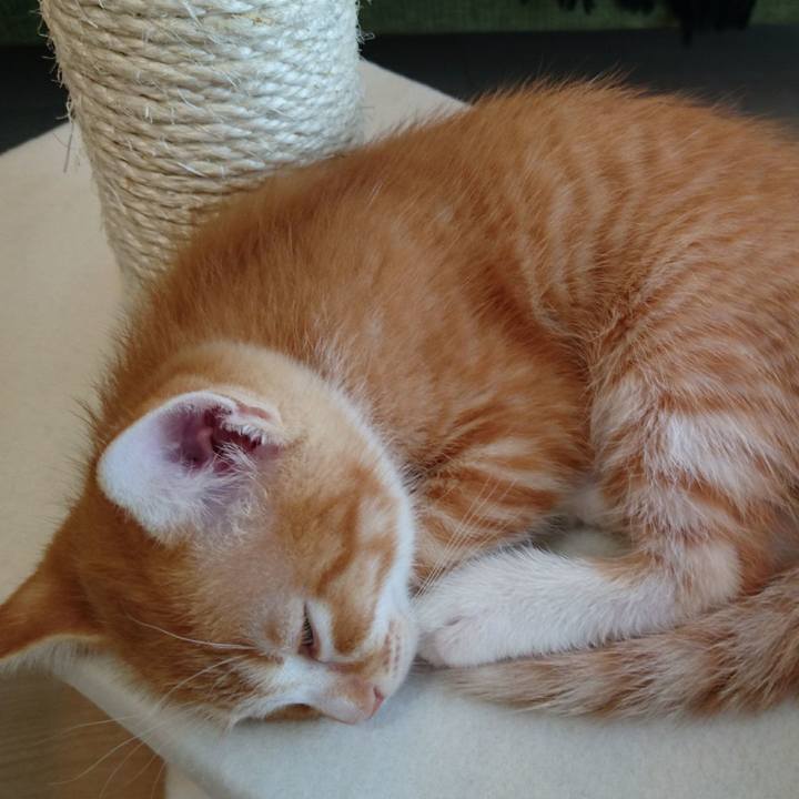 0db2285b 7bea 430f bfaa 1975e8be855a