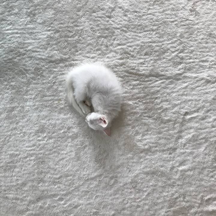 0db27005 644f 419a b525 f536a830803e