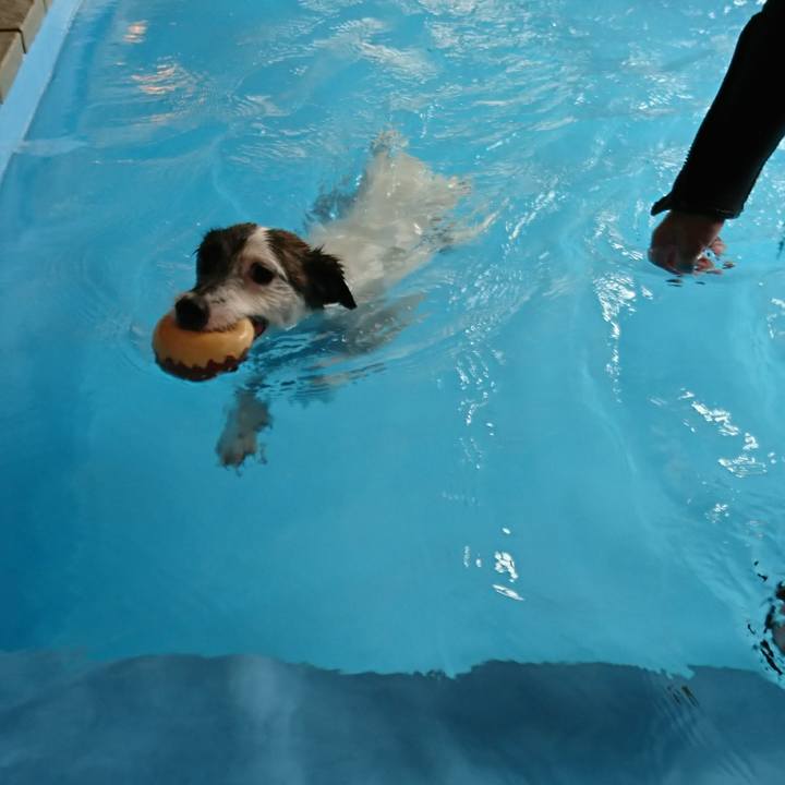 0db32255 94b9 4122 82f8 0779cb29e401