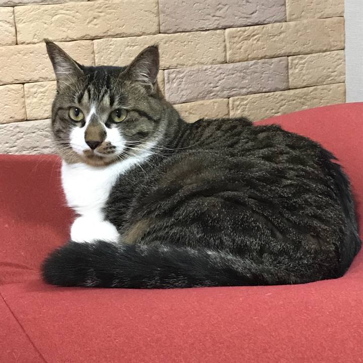 0db3341b f46e 403c be4a ed3bff0441b3