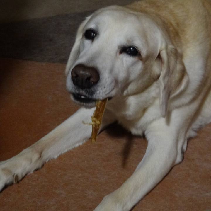 0db3a123 6876 41d5 8cd0 b44cf24bd825