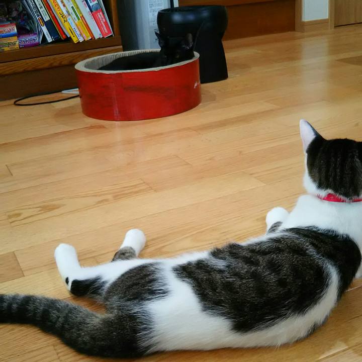 0db3d716 ba05 4a3e b70f 6f0eb3080257