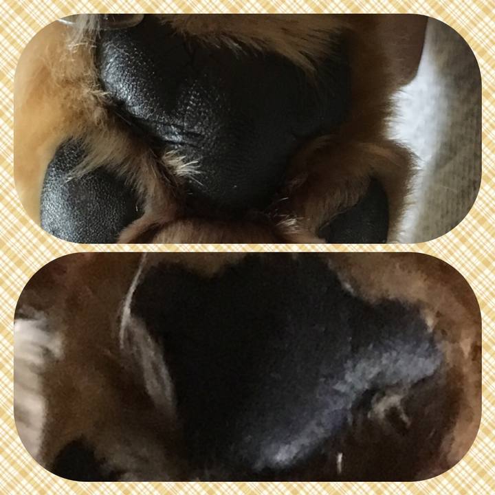 0db41334 0d56 4304 b4fb e8aa20b55a9d