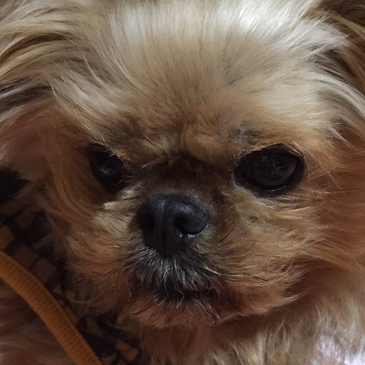 0db48e4e c333 4b1e 9287 f87fb3cc6457