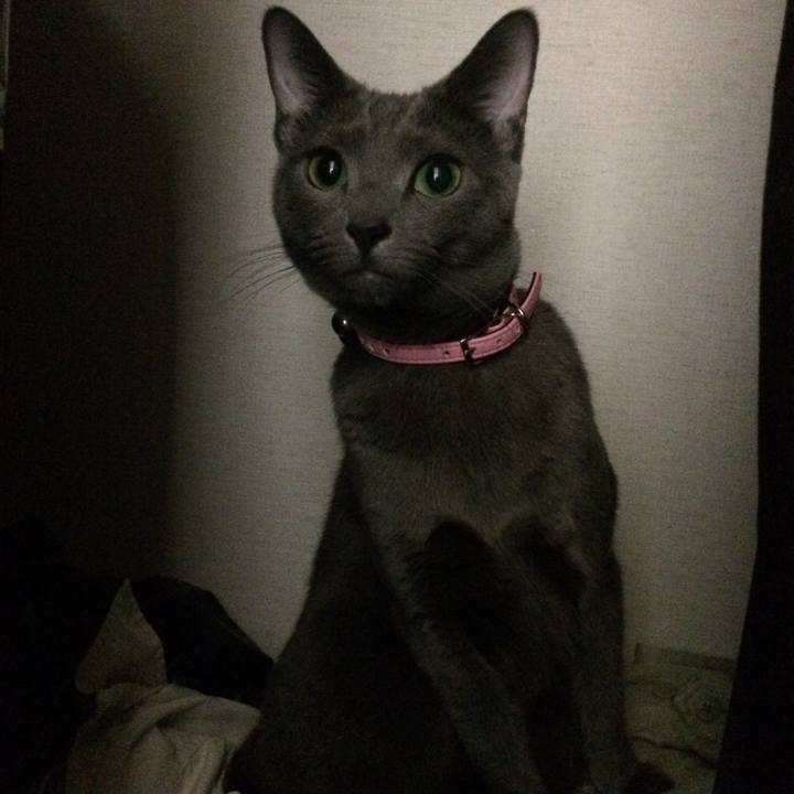 0db4f31e e74b 46af ba5d adca969cdb2a