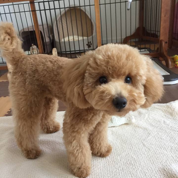 0db52751 e97b 442e 80ce ca7f20be658e