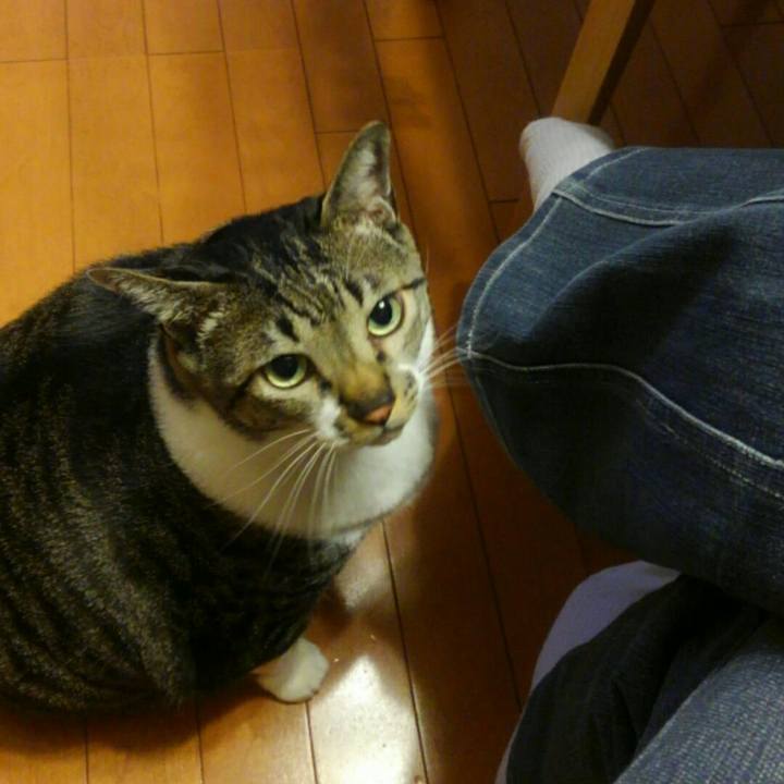 0db52a3b 9dfd 48f3 8919 8b7d97c122bb