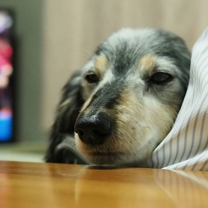 0db56da3 fe7c 4274 8bf7 a82840e1e7b1