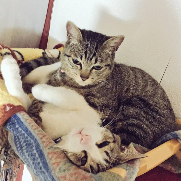 0db57f9e 7290 4a11 b34f 62853a40f304