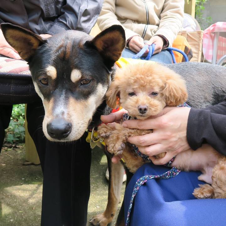 0db5cdaa 7051 49c6 b679 9e0d27503b4e