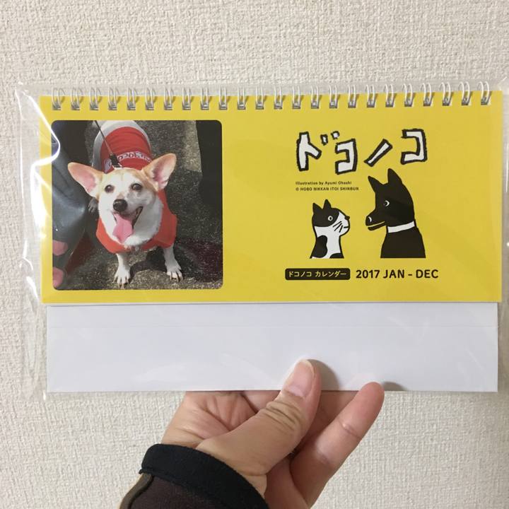 0db5e9b6 412b 46fc ba7c 850d30f7766e