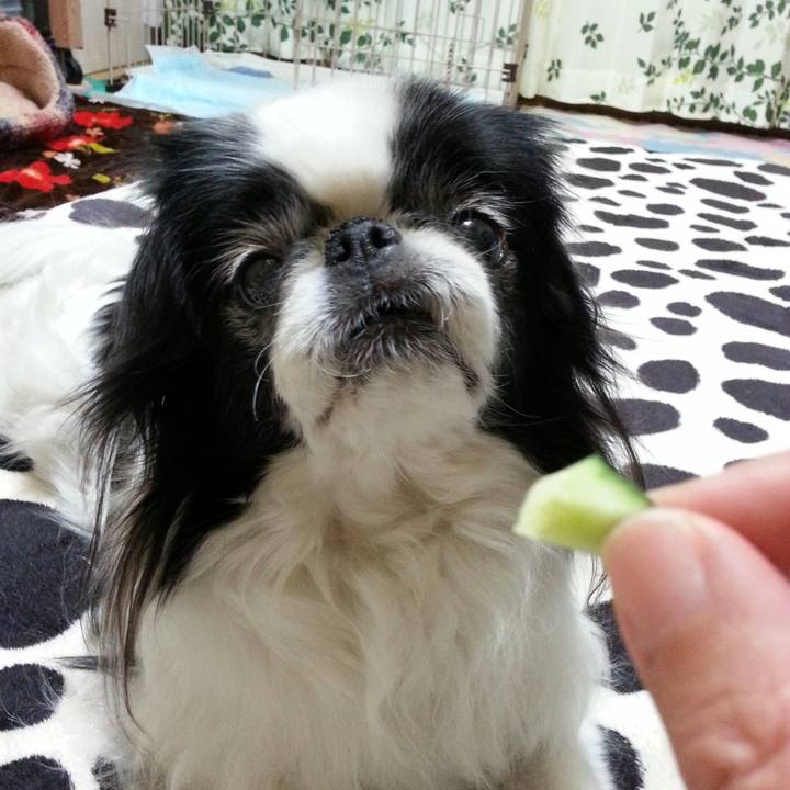 0db5efcf b317 4e04 9856 e0066a230eb9