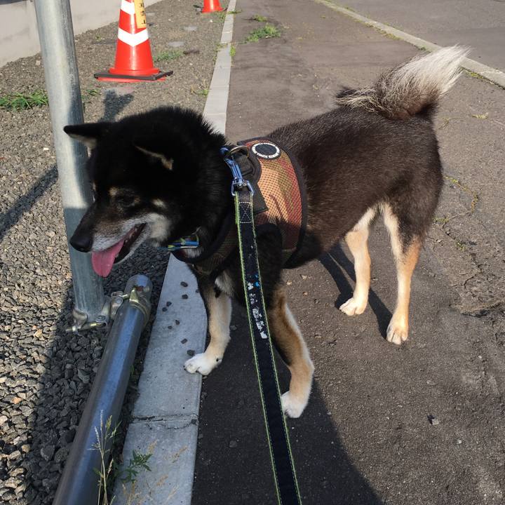 0db62690 5af2 4e90 a998 c051e2e9b05b