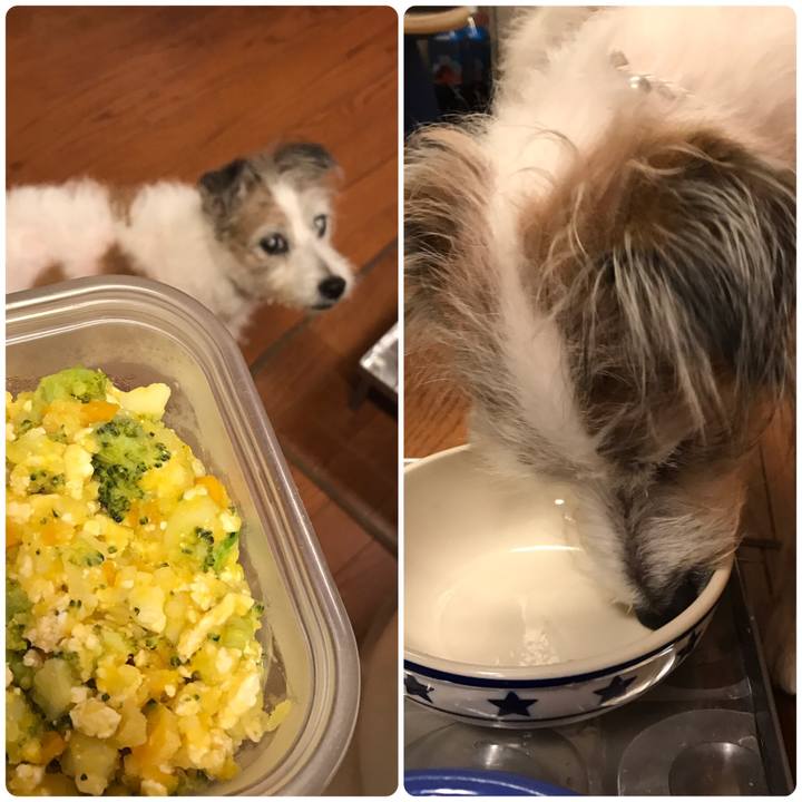 0db6c9f8 75bd 4af5 ba09 cf1a8b30b38d