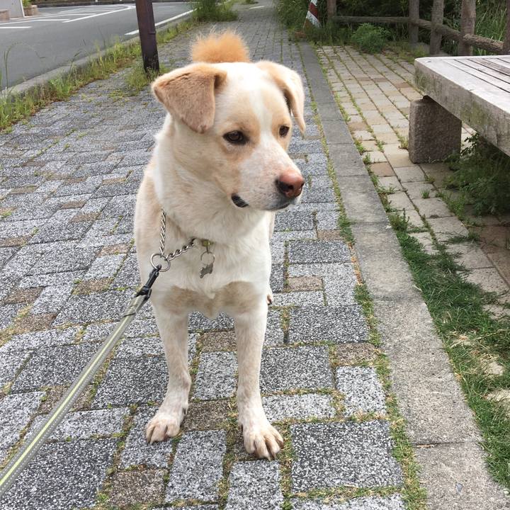 0db7377e 3b55 4d6d b5c8 e1b74caa3f18